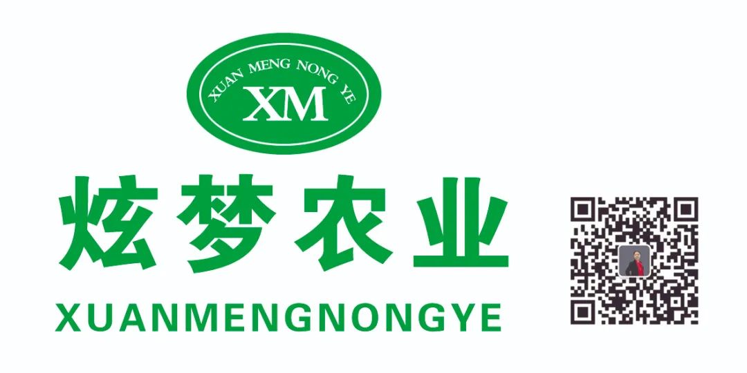 a9.jpg a9.jpg